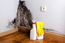  , USA Mold Removal & Remediation Pros